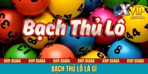 Bạch thủ lô là gìBạch Thủ Lô Là Gì - Bật Mí Tuyệt Chiêu Soi Cầu Trúng Phóc 