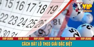 Cách Bắt Lô Theo Giải Đặc Biệt | Cẩm Nang 6 Bí Kíp Hay