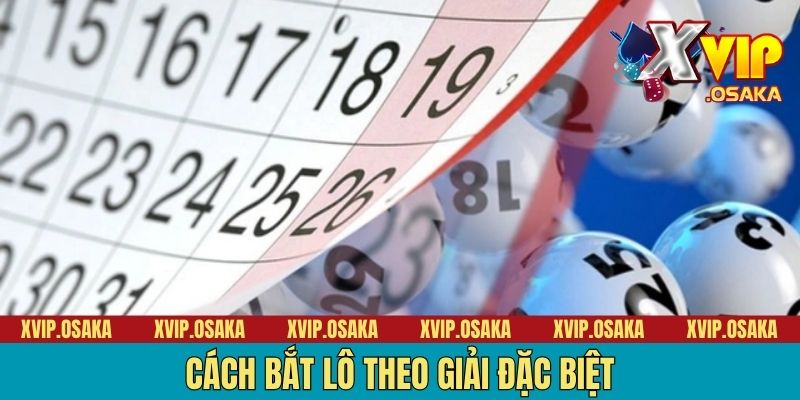 Cách Bắt Lô Theo Giải Đặc Biệt | Cẩm Nang 6 Bí Kíp Hay