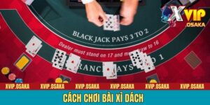 Cách Chơi Bài Xì Dách - Chỉ Dẫn Newbie Tận Răng Từ A Đến Z