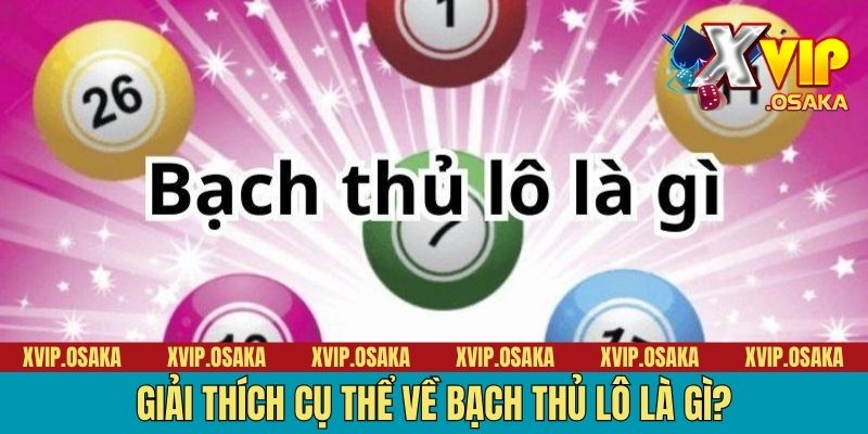 Giải thích cụ thể về bạch thủ lô là gì?