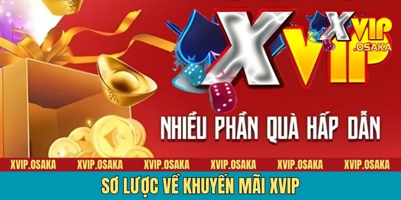 Sơ lược về khuyến mãi XVIP