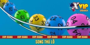 Kinh Nghiệm Soi Cầu Song Thủ Lô Hiệu Quả Dành Cho Tân Binh