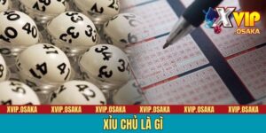Xỉu Chủ Là Gì? Giới Thiệu 5 Loại Hình Thường Gặp Nhất
